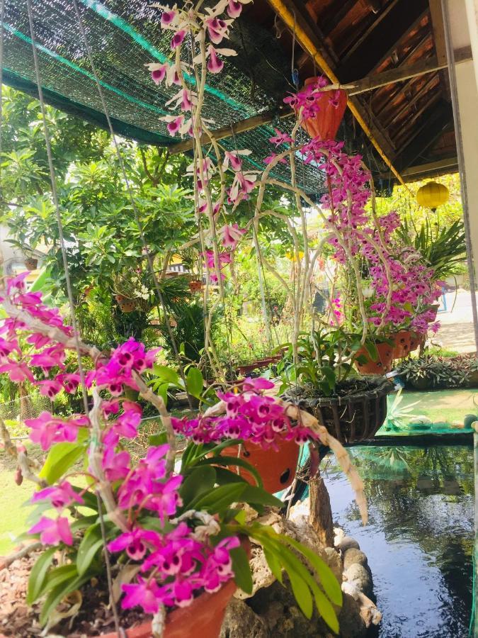 Do River Homestay Hoi An Eksteriør bilde