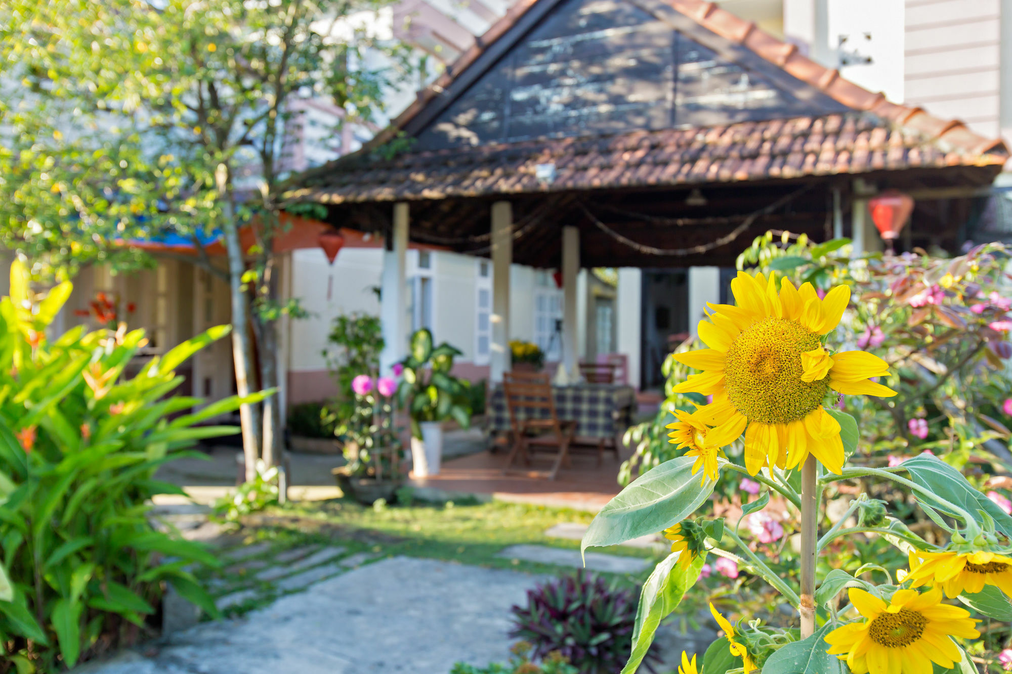 Do River Homestay Hoi An Eksteriør bilde