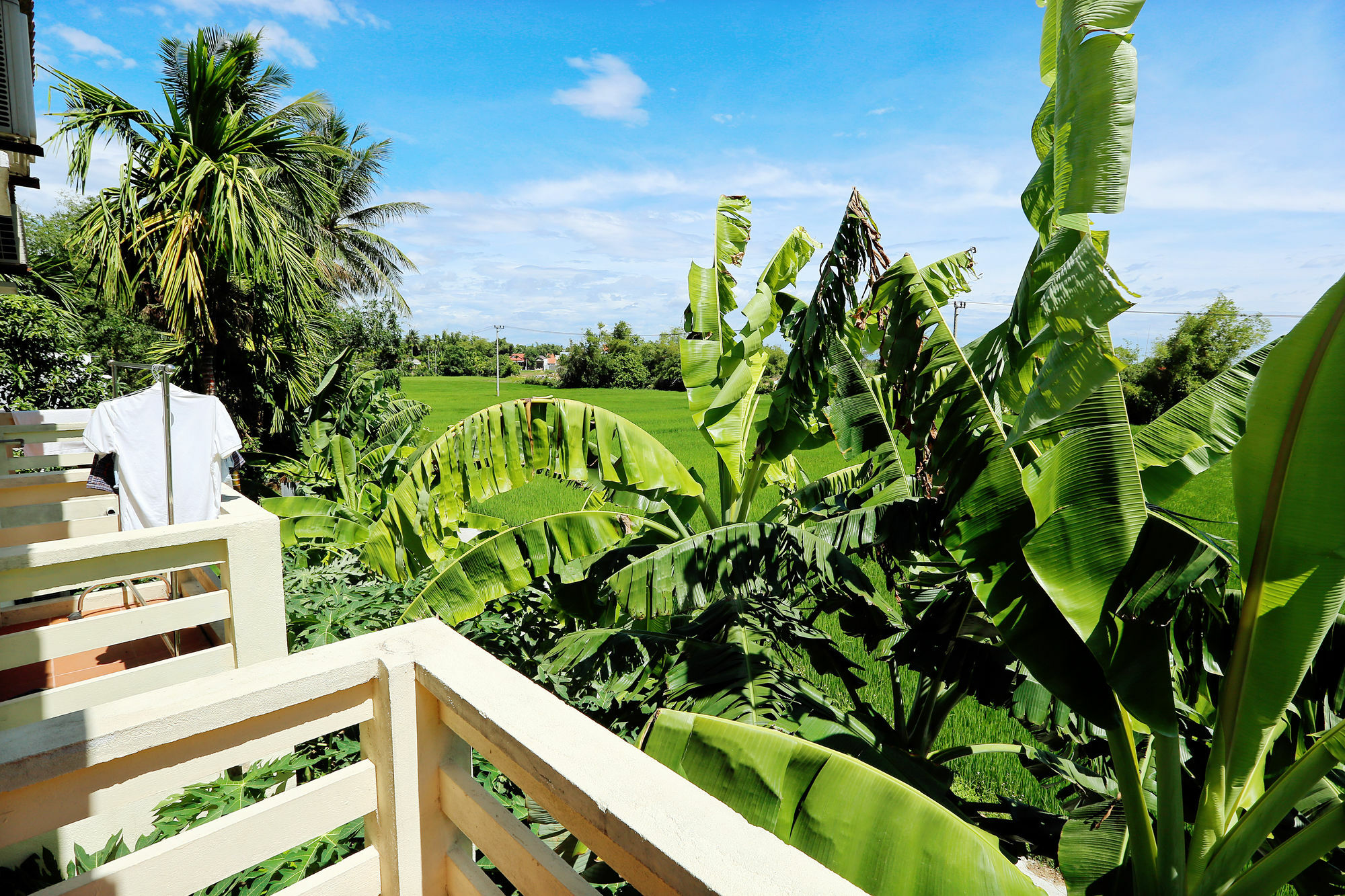 Do River Homestay Hoi An Eksteriør bilde